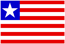 March 2, 2010 – Citizen of Liberia received his green card after the firm filed a mandamus action in federal court